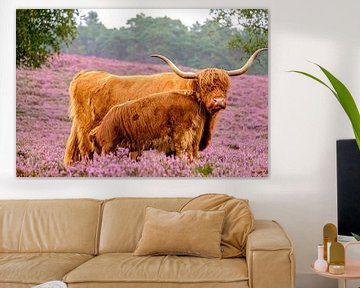 Schotse Hooglander koe met kalf in een bloeiend heideveld van Sjoerd van der Wal