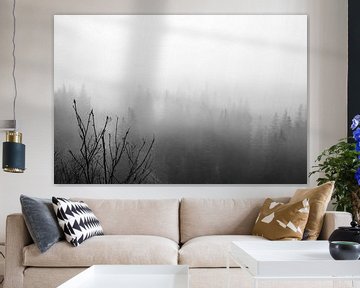 Forêt brumeuse en tirage photo noir et blanc