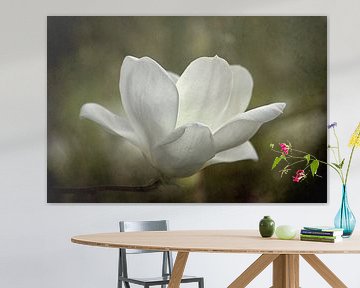 Fleur de magnolia dans un paysage vert