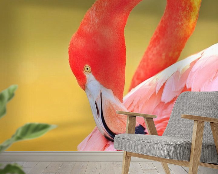 Sfeerimpressie behang: LP 70485490 Caribische flamingo van BeeldigBeeld Food & Lifestyle
