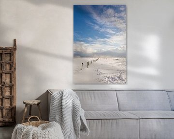 Landschaft Ameland im Schnee von Nicole Nagtegaal