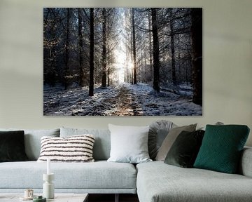 Forêt de pins d'hiver au coucher du soleil. sur Marcel Kerdijk