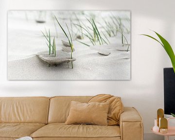 Young marram grass by Greetje van Son