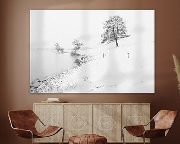 50 tinten sneeuw van Marcel Ohlenforst
