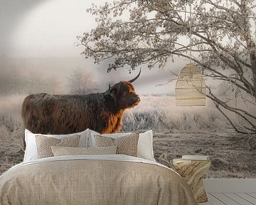 Schottischer Highlander im Winter