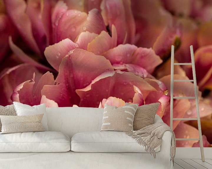 Sfeerimpressie behang: dubbelbloemige roze tulp in de keukenhof van Margriet Hulsker