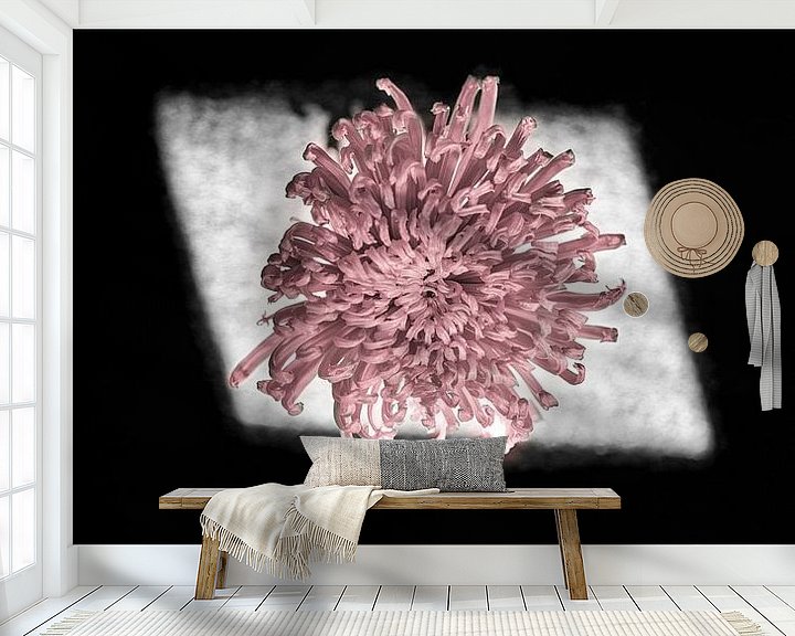 Sfeerimpressie behang: Roze chrysant bloem (optie: tweeluik) van Tot Kijk Fotografie: natuur aan de muur