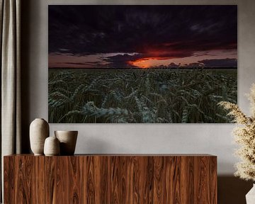 Threatening sky over wheat field. by Marcel Kerdijk