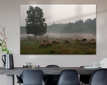 Heath landscape with sheep. by Tanja de Mooij