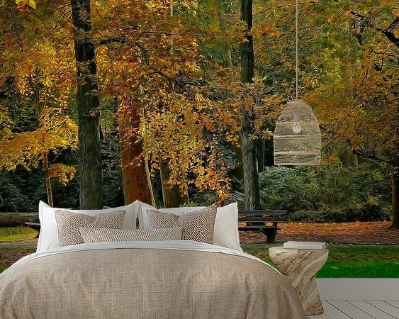 Aperçu de la chambre