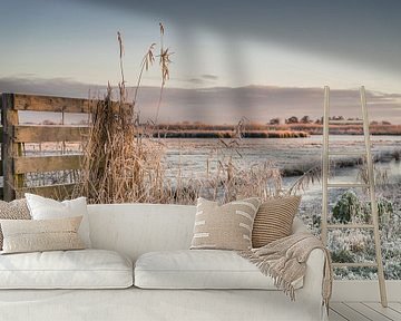 Winterse rijp in de polder van Rossum-Fotografie