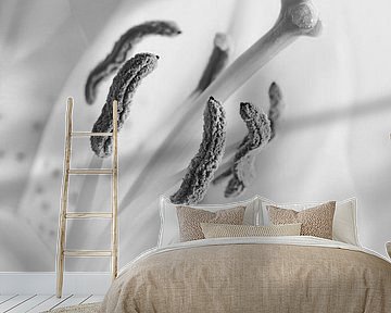 Lily by Violetta Honkisz