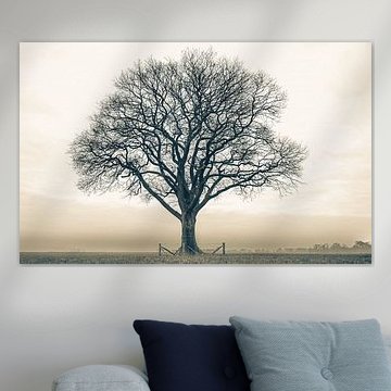 Einsamer Baum Twickel