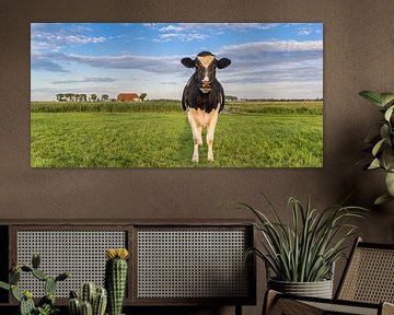 Koe in het Groningse landschap van Marc Venema