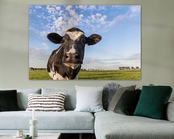 Portret van een Nederlandse koe