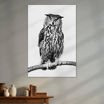 Fine-art portrait of an Eagle Owl in Black and White by Lotte van Alderen