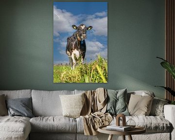 Hollandse koe van Angelique Niehorster