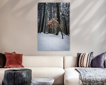 Soyez différent - scène d'hiver sur Jens Sessler