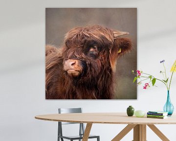 Scottish Highlander (young, calf) by Francis Dost