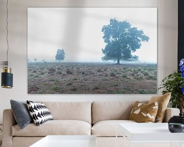 Bäume im Nebel von Johan Honders