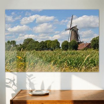 The Hompesche Mill in Stevensweert with maize field by Rob Pols