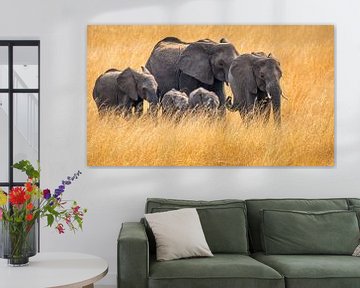 Elefanten im Gras von Paul de Roos