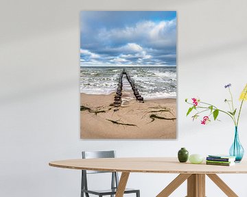 Groynes on the coast of the Baltic Sea on Fischland-Darß by Rico Ködder