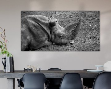 Reclining Rhino by Marcel Kerdijk