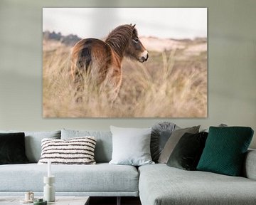 Exmoor Pony in duinlandschap van Dirk-Jan Steehouwer