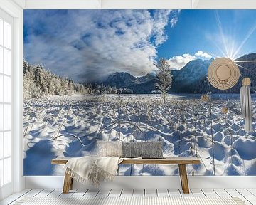 Winterträume am Schwansee