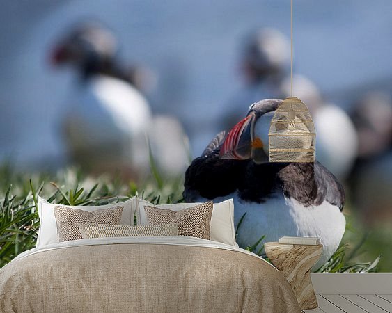 Aperçu de la chambre