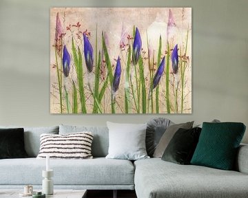 Iris, paarse bloemenpracht