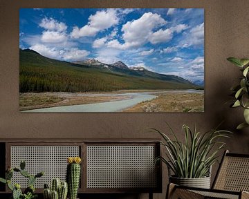 Athabasca River, Jasper National Park, Rocky Mountains, Alberta, Canada van Alexander Ludwig