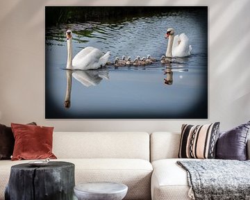 vogels