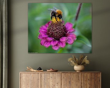 Bloemen
