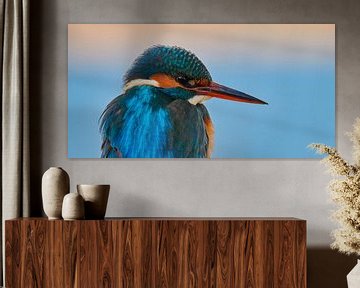 Kingfisher - portrait by Kingfisher.photo - Corné van Oosterhout