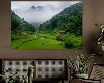 Bergdorp in Vietnam, Azië, Pu Luong. van Ellis Peeters