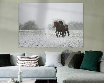 Laufende Ponys im Schnee von Tania Perneel