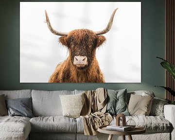 Portrait d'un bovin écossais des Highlands regardant directement dans l'objectif avec une fourrure h sur Sjoerd van der Wal Photographie