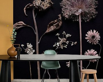 garden of dried summer flowers by Karel Ham