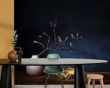 Magnolia dream .still life with magnolia and Cape goldberry by Saskia Dingemans Awarded Photographer