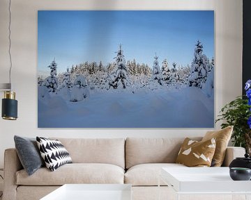 Winterwonderland in de tuin en het bos met sneeuw van Martin Steiner