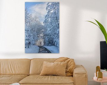 Merveilles hivernales dans le jardin et la forêt avec la neige