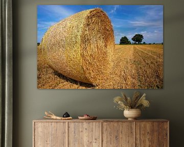 Straw Bale