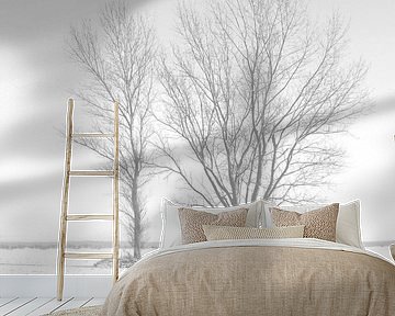 Zwei Bäume im Schnee