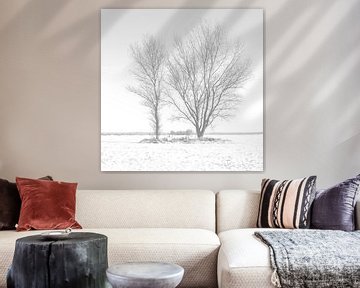 Twee bomen in de sneeuw van Frank Herrmann