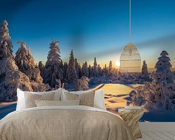 Winter in the Black Forest National Park by Werner Dieterich