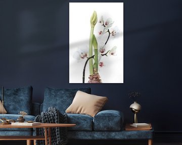 Stilleven amaryllis en  orchidee van Klaartje Majoor