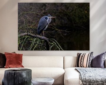 heron by bryan van willigen