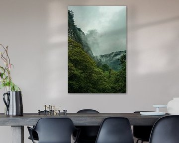 Colombian jungle mountains in fog in portrait mode by Thijs van Laarhoven